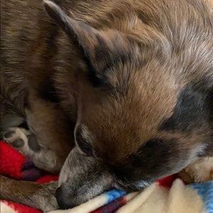 Meet your Posher, Deidre